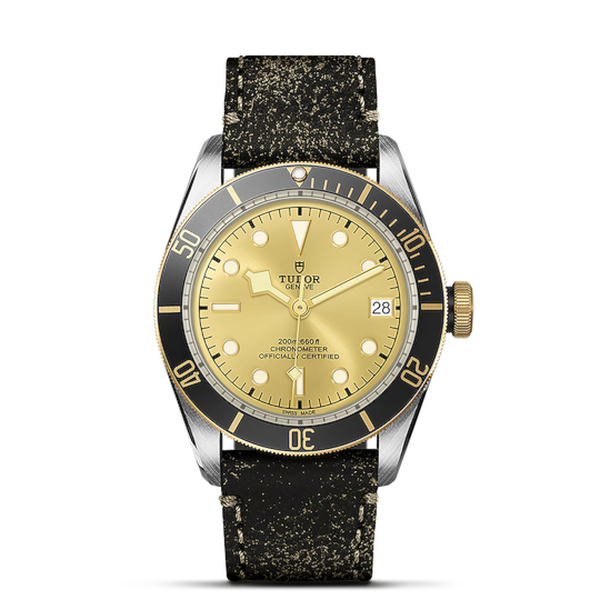Tudor Black Bay S&G